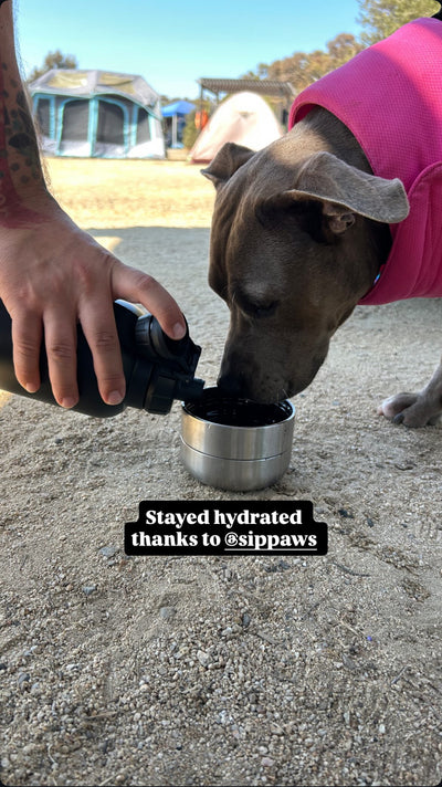 Meet Cali